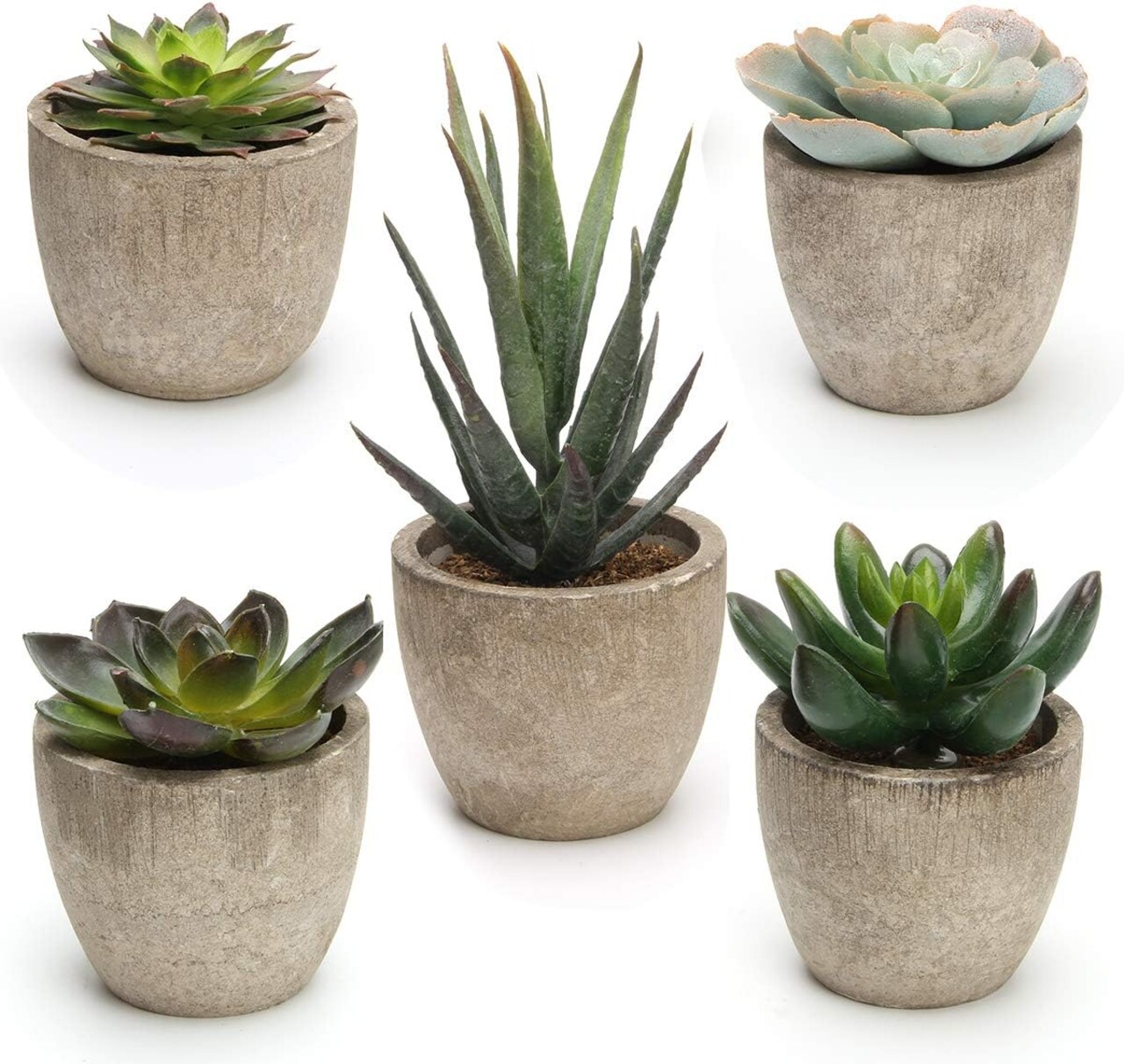Artificial Succulent Plants Potted, Assorted Decorative Faux Succulent Potted Fake Cactus Cacti Plants with Pots, Set of 5